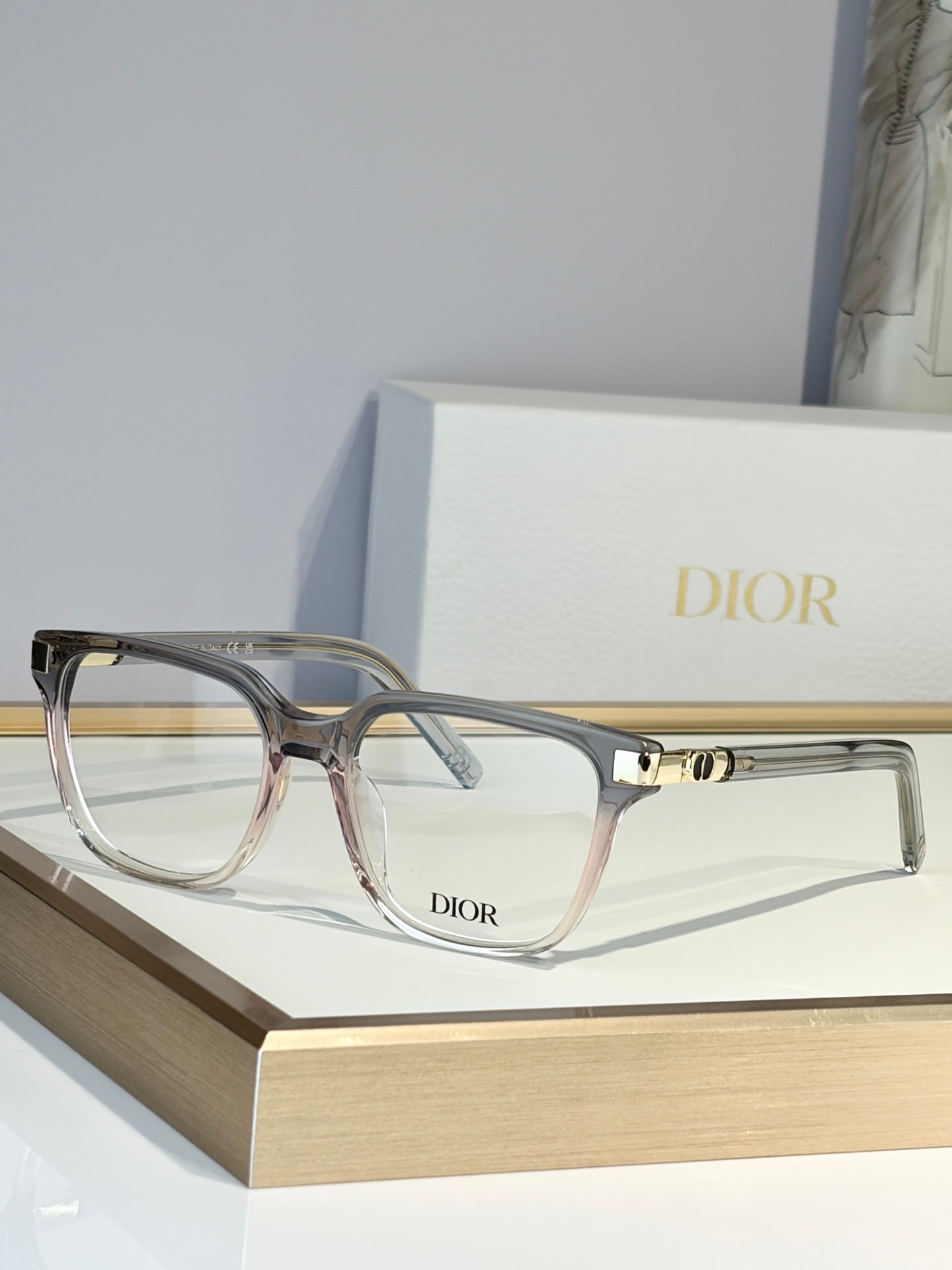 DIOR Sunglasses-CDS2L