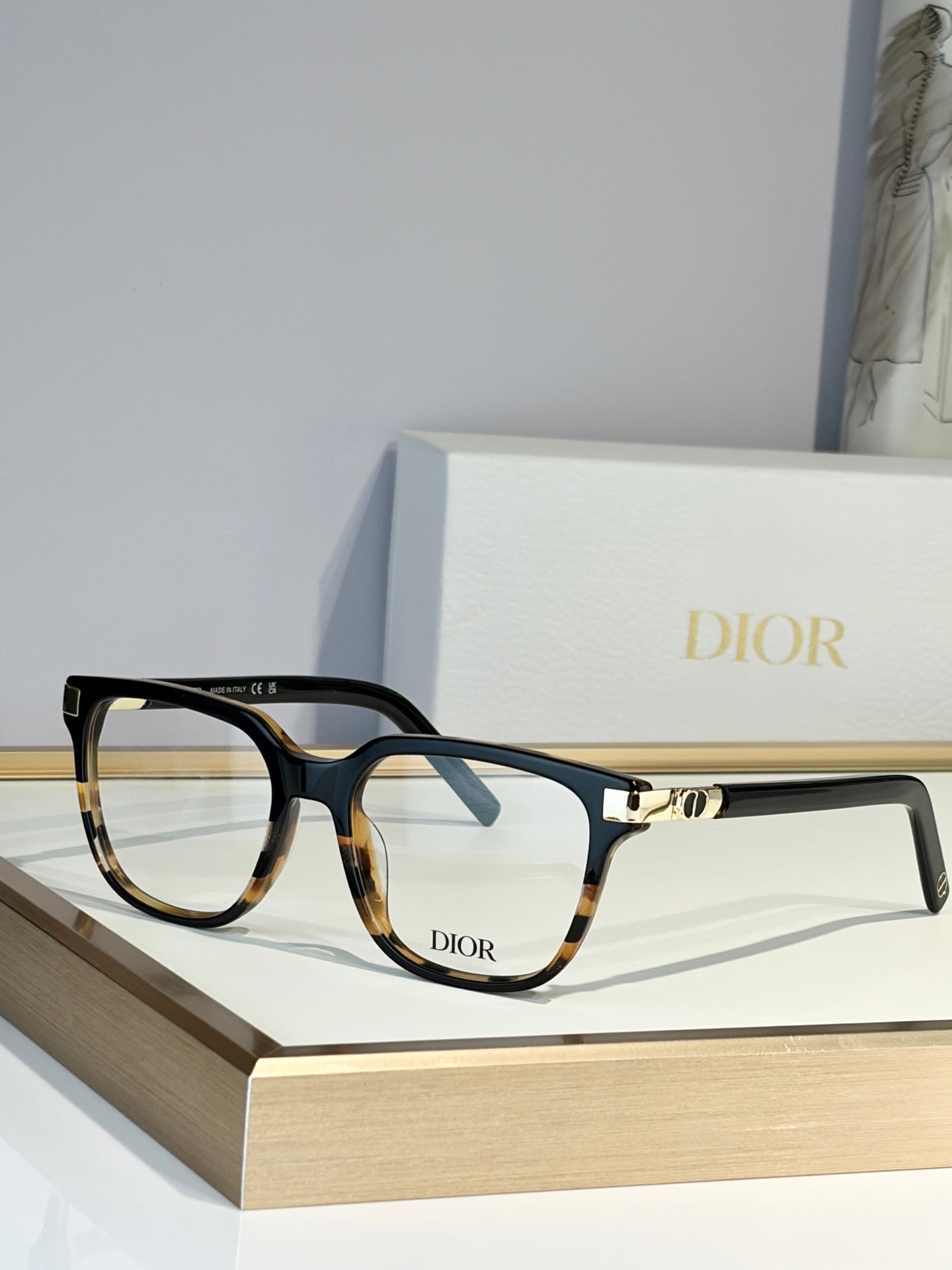 DIOR Sunglasses-CDS2L