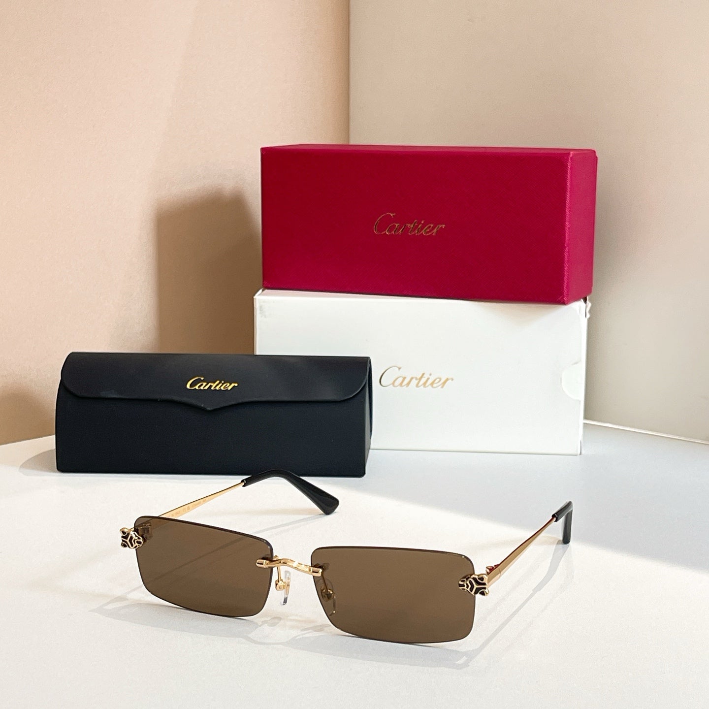 Cartier Sunglasses-CT0598S